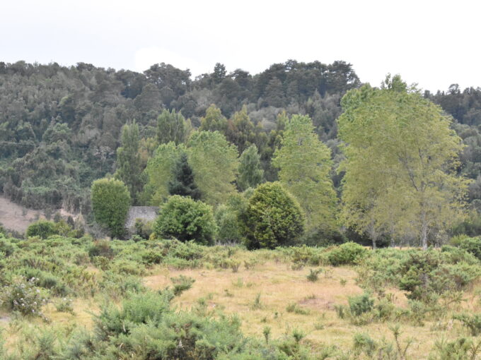 Parque Ecológico Chamiza 2